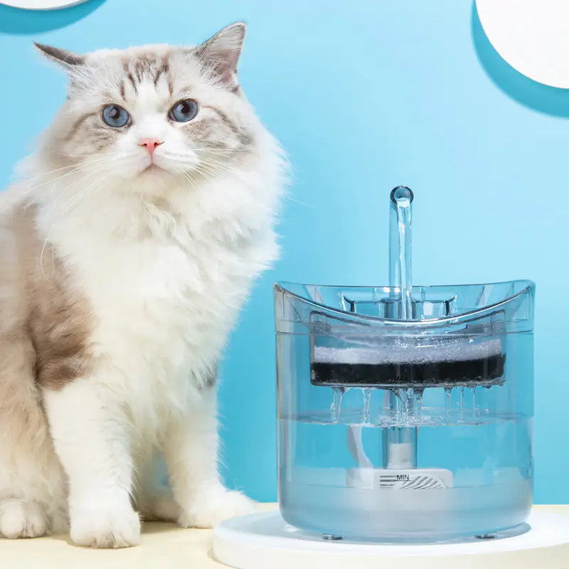 Transparent Smart Automatic Pet Water Dispenser with Filters