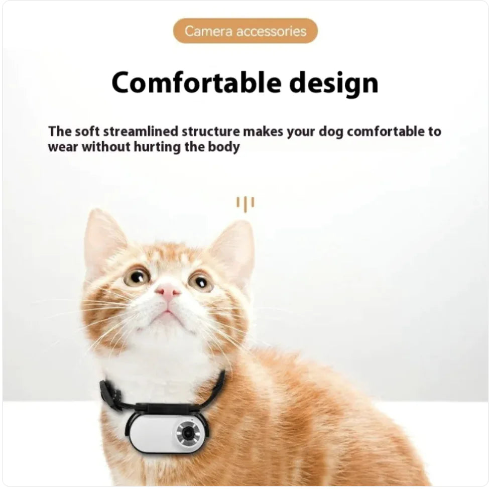 Pet Collar with Camera