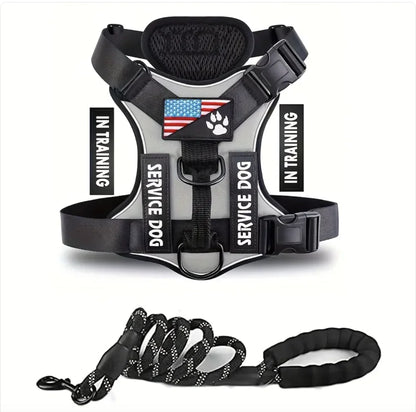 Adjustable Dog Harness & Leash Set