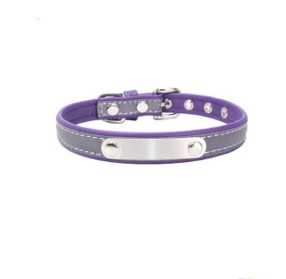 Stainless Steel Pet Collar with Comfort Nylon Leash
