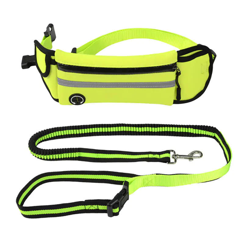 Pet Leash Waist Bag - Multi-Functional Dog Training Bag