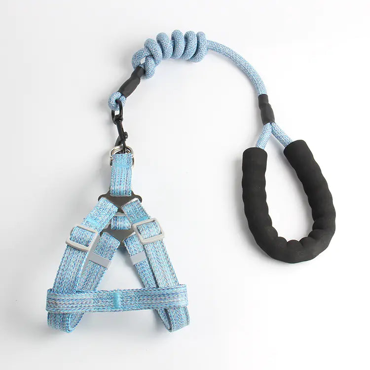 Pet Leash and Harness Set for Small Dogs