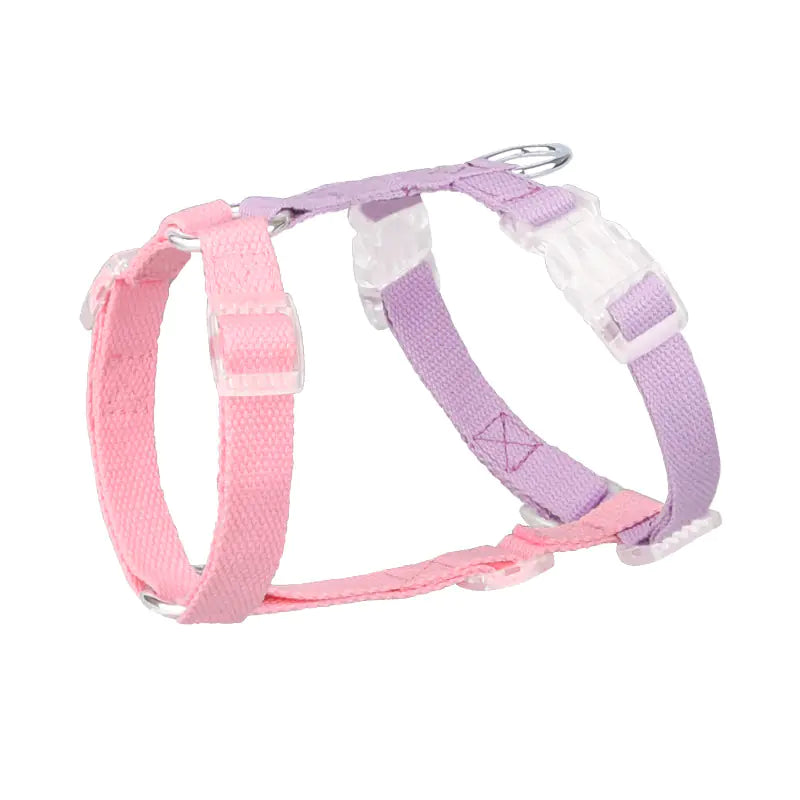 Color-Coded Anti-Breakaway Pet Leash and Chest Strap