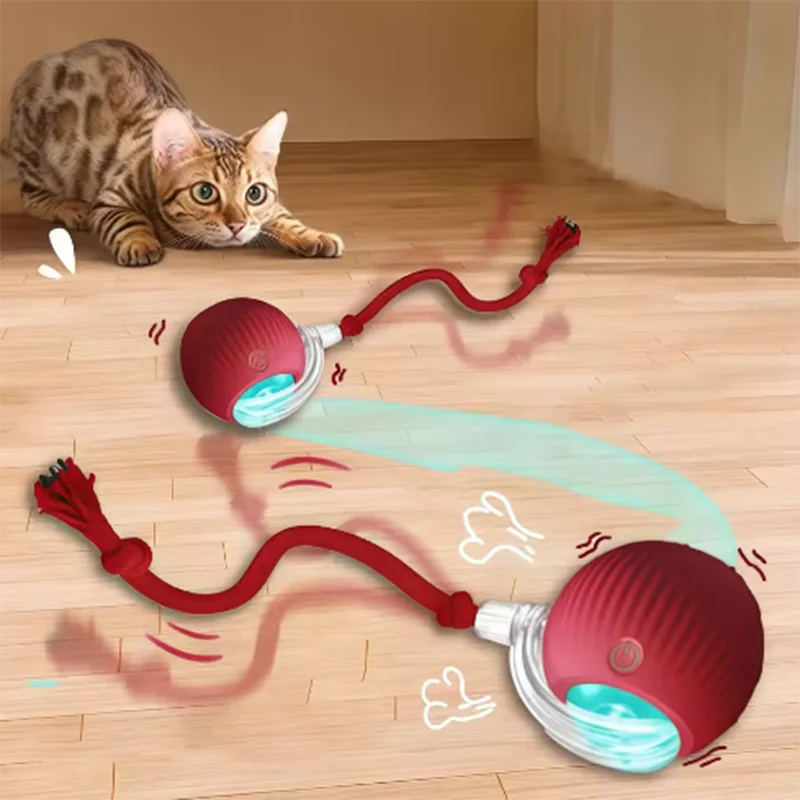 PetChase AutoRoll Smart Ball