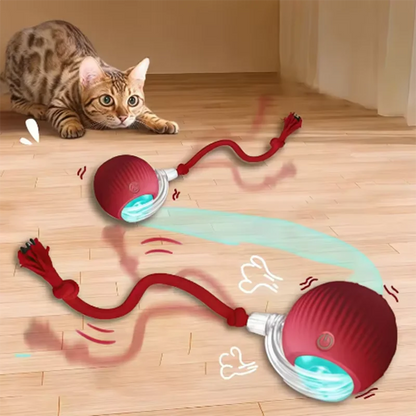 PetChase AutoRoll Smart Ball