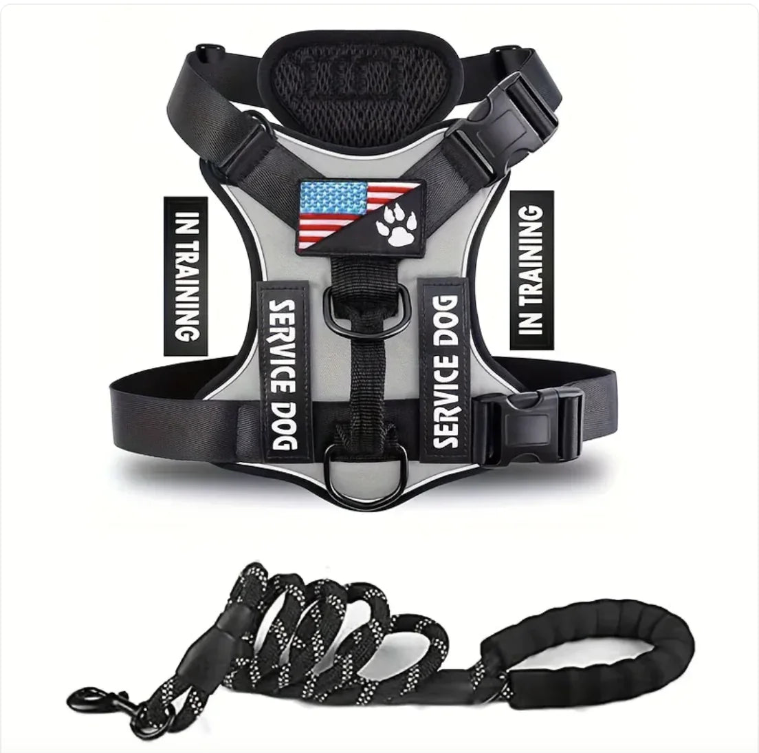 Adjustable Dog Harness & Leash Set
