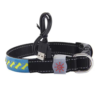 LED Light-Up Pet Collar