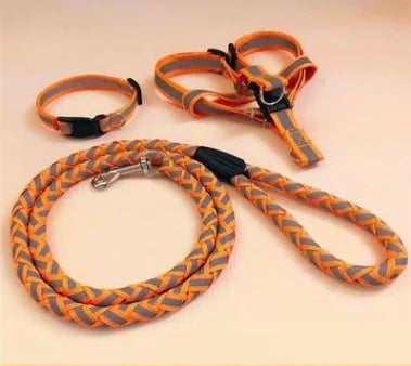 NightGlow Dog Leash Set