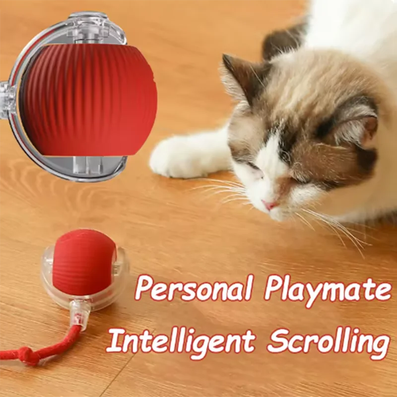 PetChase AutoRoll Smart Ball