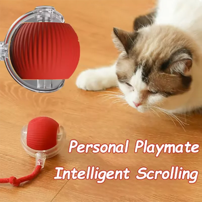 PetChase AutoRoll Smart Ball