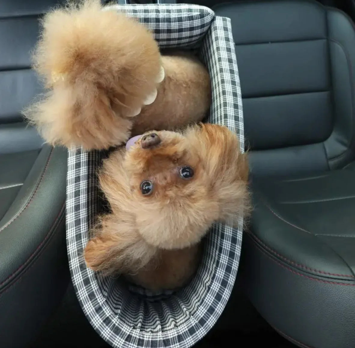 Portable Pet Car Booster Bed