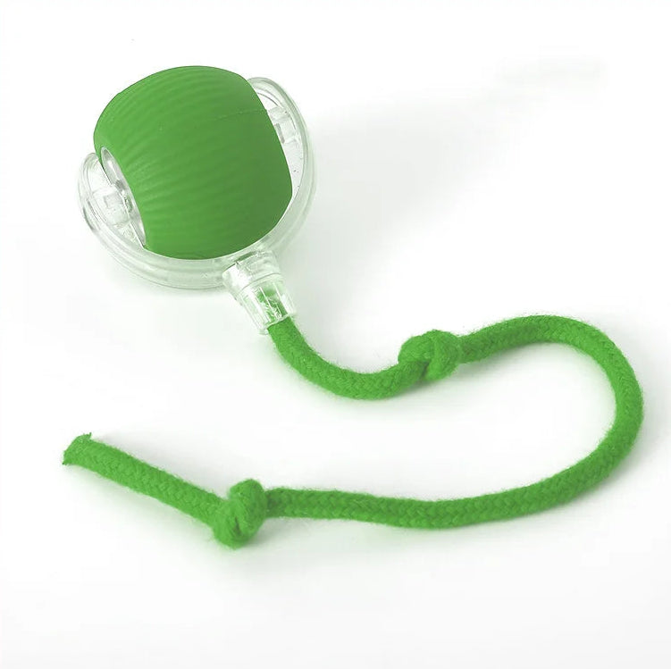 PetChase AutoRoll Smart Ball