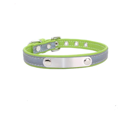 Stainless Steel Pet Collar with Comfort Nylon Leash