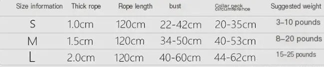 NightGlow Dog Leash Set