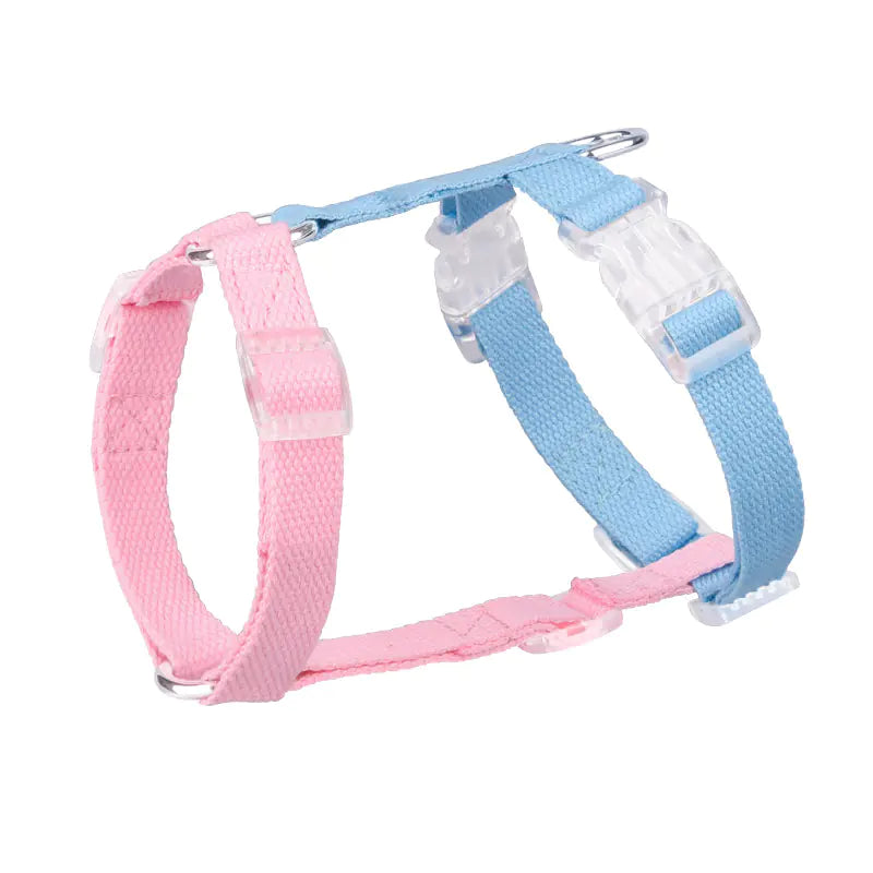 Color-Coded Anti-Breakaway Pet Leash and Chest Strap