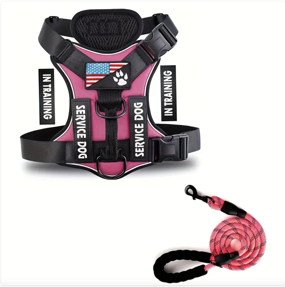 Adjustable Dog Harness & Leash Set