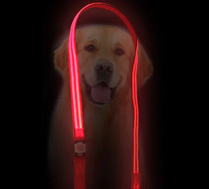 LED Pet Leash for Night Walks - Durable and Thick