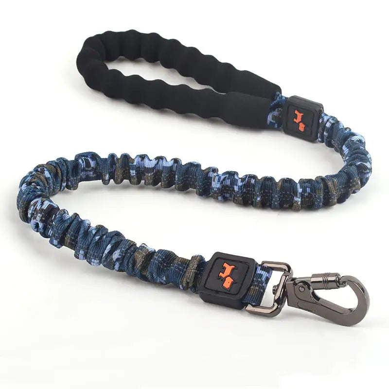 Big Pup Flexi-Leash