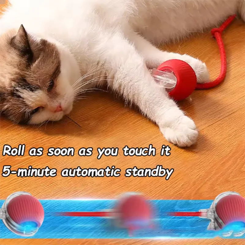 PetChase AutoRoll Smart Ball