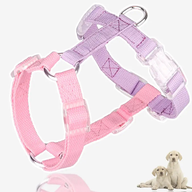 Color-Coded Anti-Breakaway Pet Leash and Chest Strap