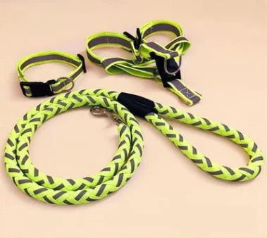 NightGlow Dog Leash Set