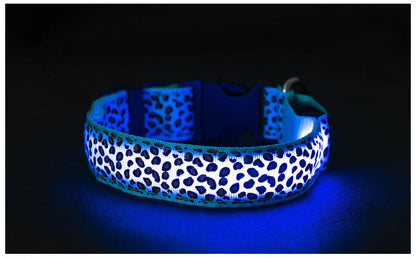 LED Anti-Lost Pet Collar with Leash