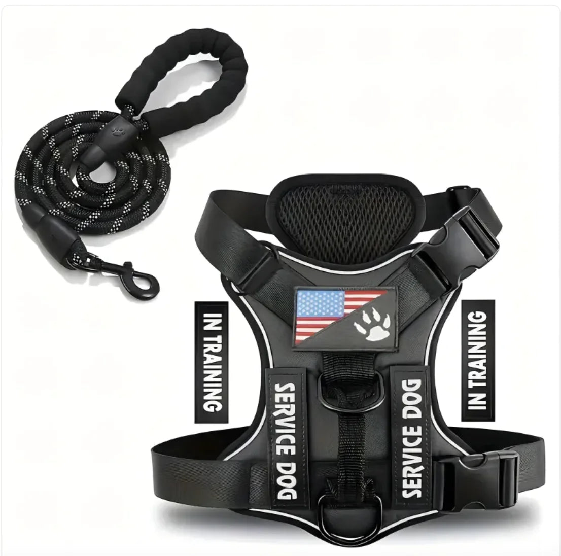 Adjustable Dog Harness & Leash Set