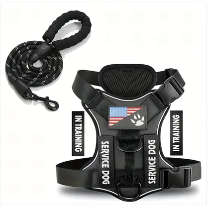 Adjustable Dog Harness & Leash Set