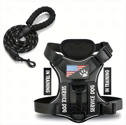 Adjustable Dog Harness & Leash Set