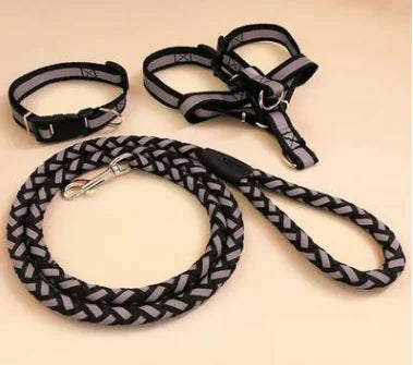 NightGlow Dog Leash Set