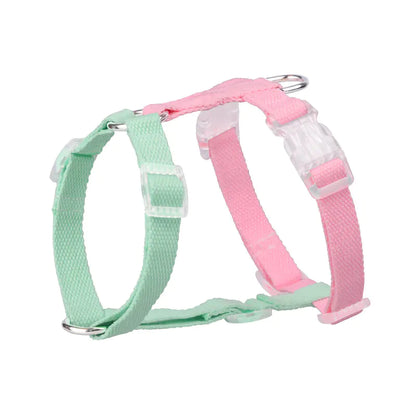 Color-Coded Anti-Breakaway Pet Leash and Chest Strap
