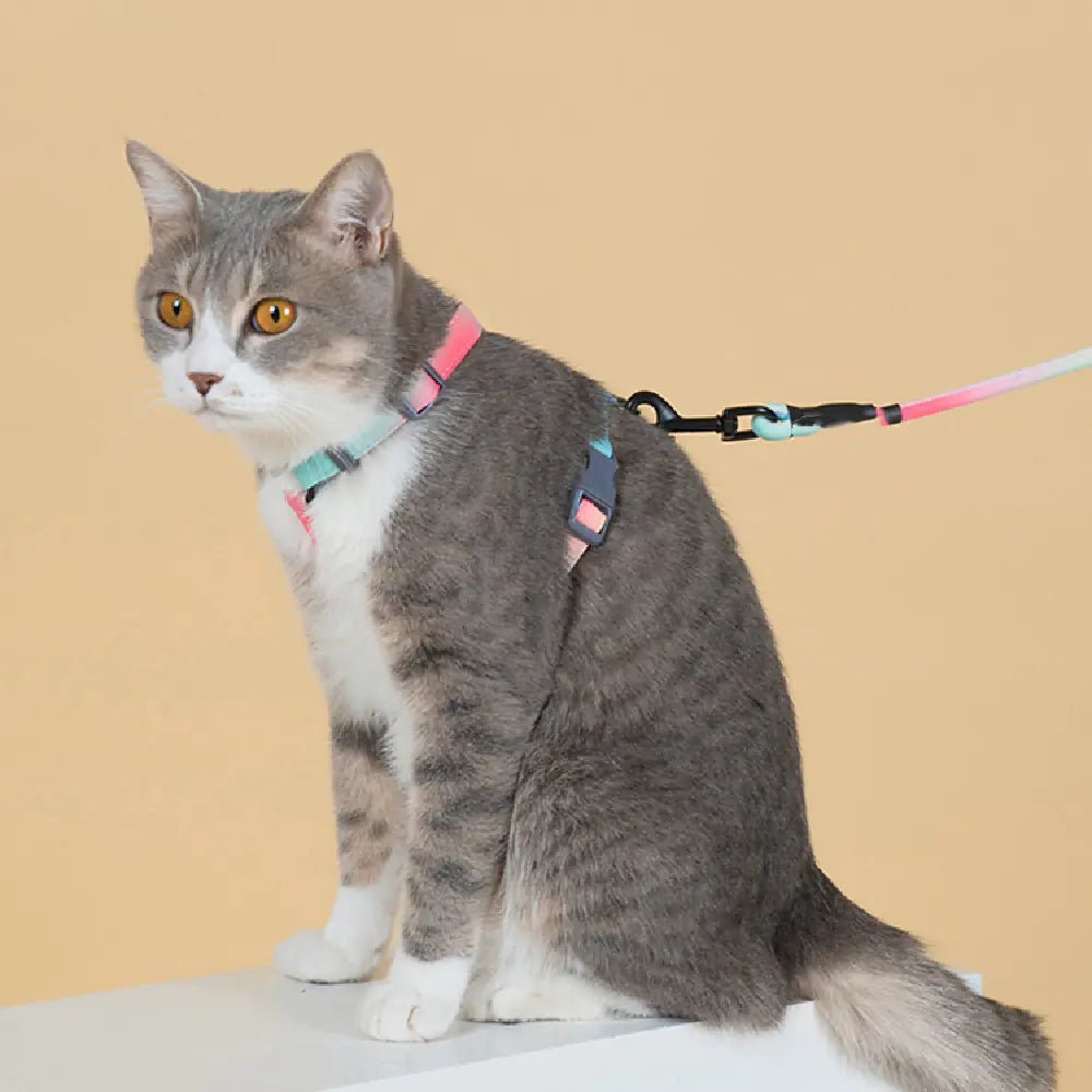 Chic Cat Safety Leash