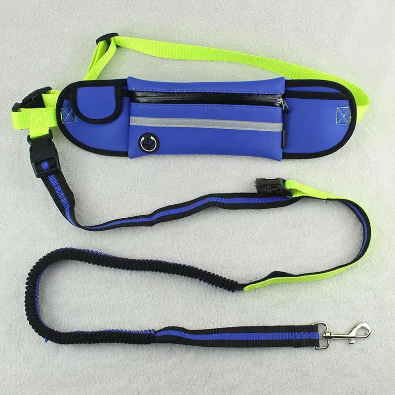 Pet Leash Waist Bag - Multi-Functional Dog Training Bag