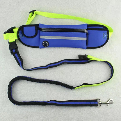 Pet Leash Waist Bag - Multi-Functional Dog Training Bag