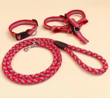 NightGlow Dog Leash Set