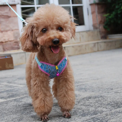 Pet Dog and Cat Chest Harness with Leash