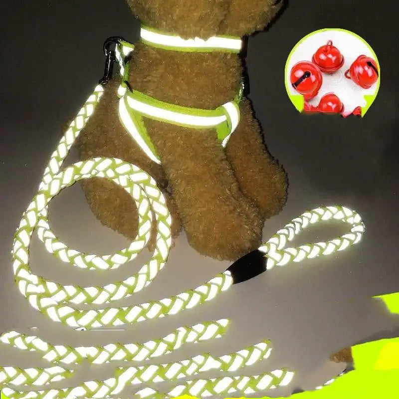 NightGlow Dog Leash Set