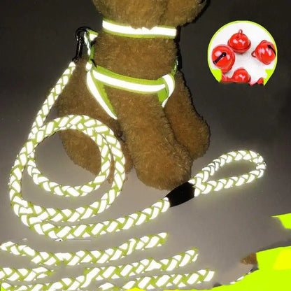 NightGlow Dog Leash Set