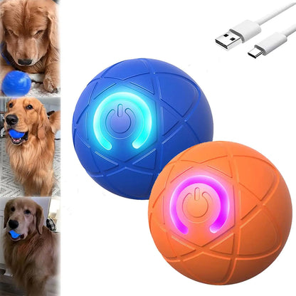 Rechargeable Vibrating Dog Play Ball - 2 Pack