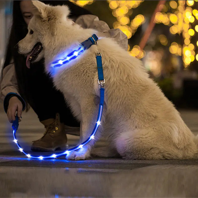 Luminous LED USB Charging Pet Leash