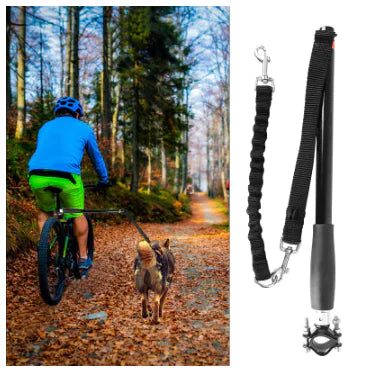 Bicycle Dog Leash with Removable Attachment