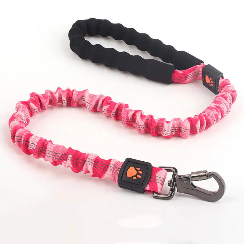 Big Pup Flexi-Leash