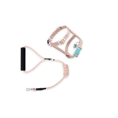 Chic Cat Safety Leash