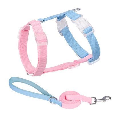 Color-Coded Anti-Breakaway Pet Leash and Chest Strap