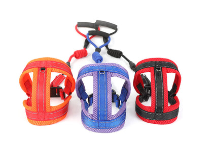 Pet Supplies: Mesh Dog Harness and Leash Set