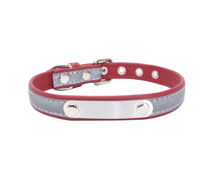 Stainless Steel Pet Collar with Comfort Nylon Leash