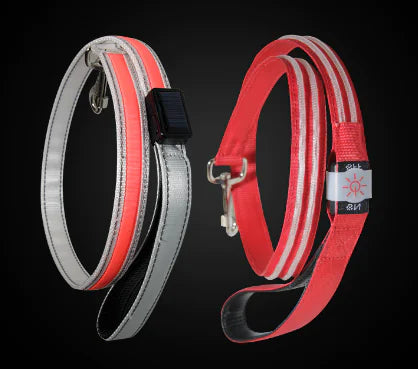 LED Pet Leash for Night Walks - Durable and Thick