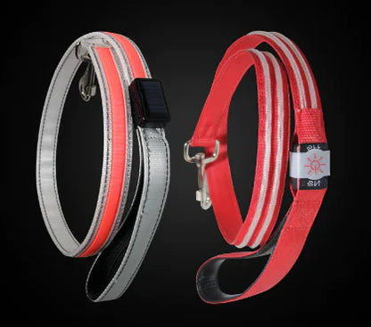 LED Pet Leash for Night Walks - Durable and Thick