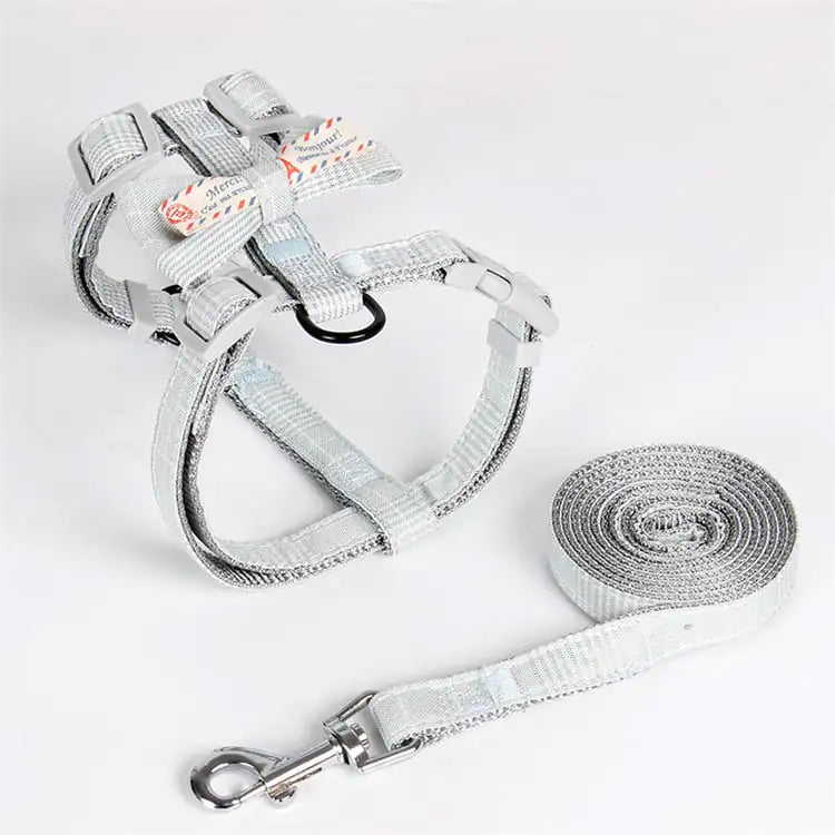 Simple Lattice Bow Design Pet Leash