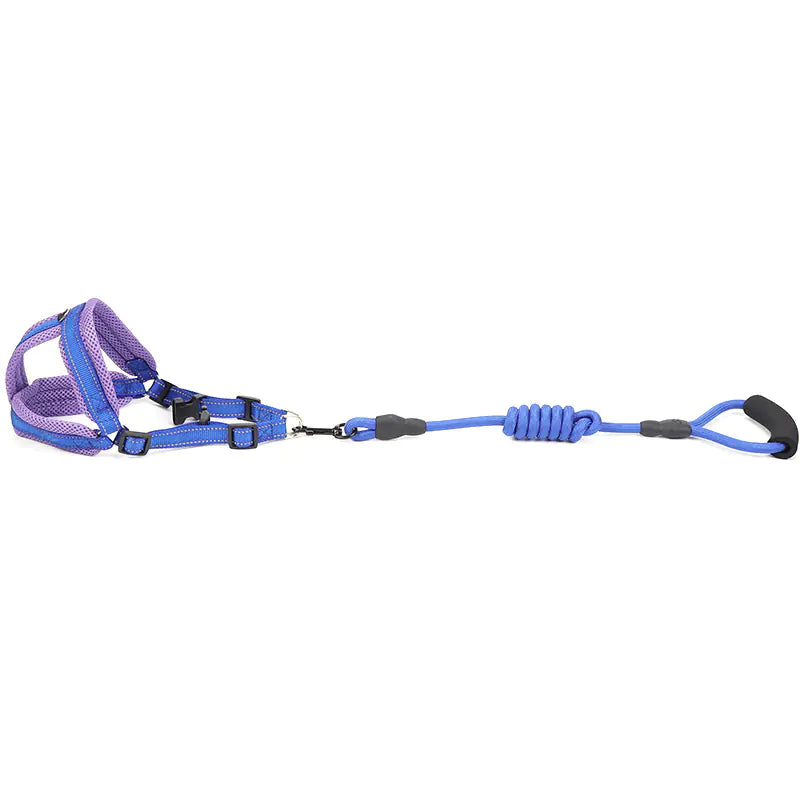 Pet Supplies: Mesh Dog Harness and Leash Set